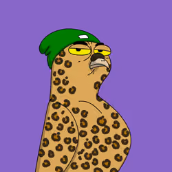 Gutter Pigeon #6930
