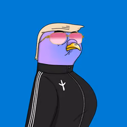Gutter Pigeon #7373
