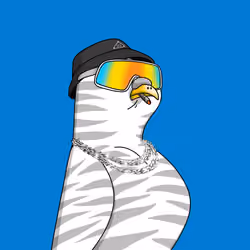 Gutter Pigeon #8803