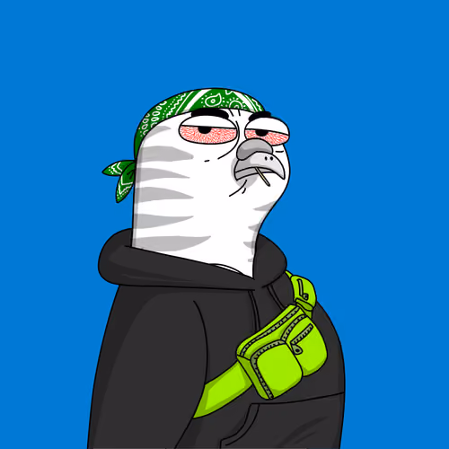 Gutter Pigeon #6479