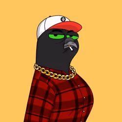 Gutter Pigeon #6389