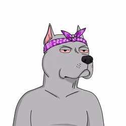 Gutter Dog #4616