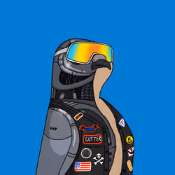 Gutter Pigeon #8322