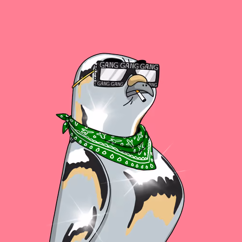 Gutter Pigeon #6175