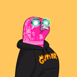 Gutter Pigeon #6431