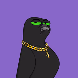 Gutter Pigeon #7427