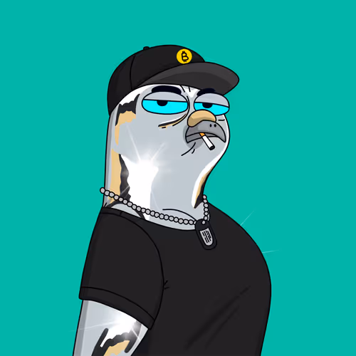 Gutter Pigeon #8451