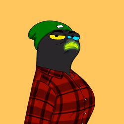 Gutter Pigeon #8711