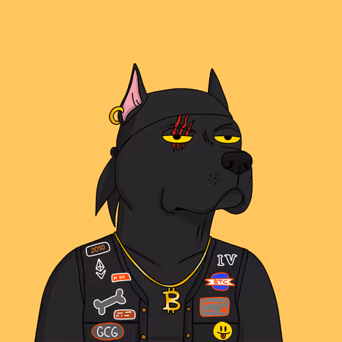Gutter Dog #3061