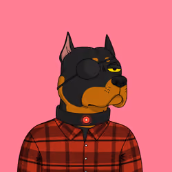 Gutter Dog #5663