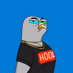 Gutter Pigeon #7306