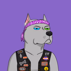 Gutter Dog #3673