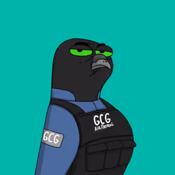 Gutter Pigeon #6548