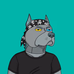 Gutter Dog #5591