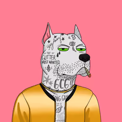 Gutter Dog #5800
