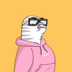 Gutter Pigeon #6357