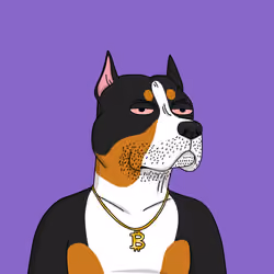Gutter Dog #5069
