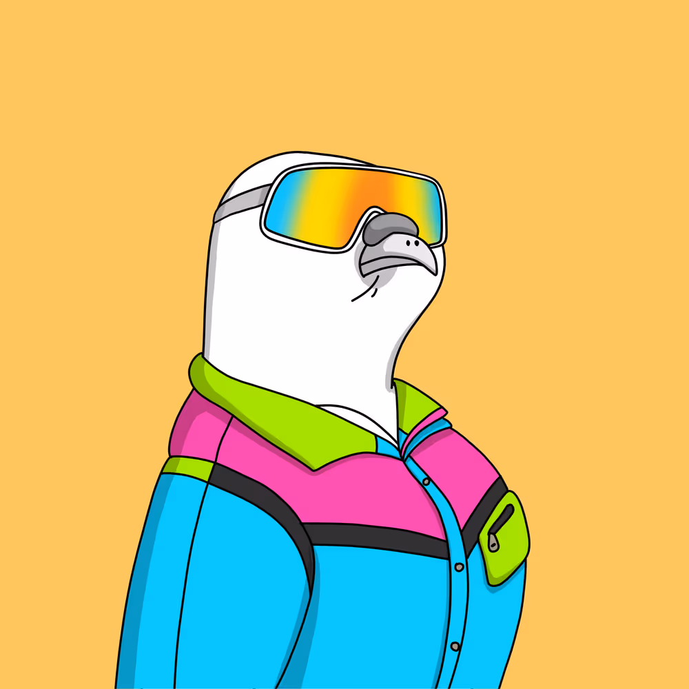 Gutter Pigeon #8951