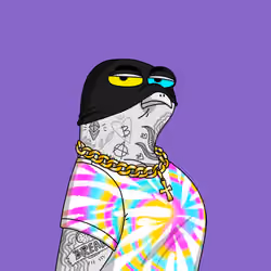 Gutter Pigeon #6467