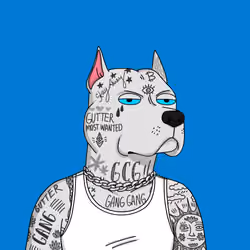 Gutter Dog #3106
