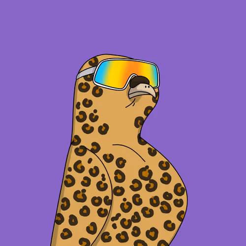 Gutter Pigeon #7335