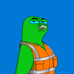 Gutter Pigeon #6895