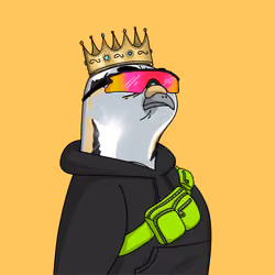 Gutter Pigeon #8408