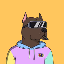 Gutter Dog #4647