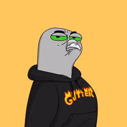 Gutter Pigeon #7991