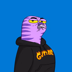 Gutter Pigeon #7049