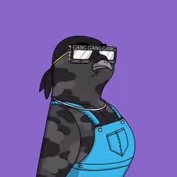 Gutter Pigeon #7760
