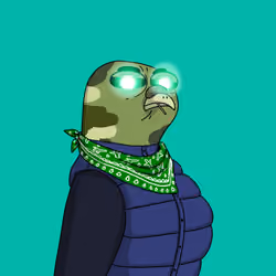 Gutter Pigeon #6731