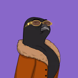 Gutter Pigeon #7856