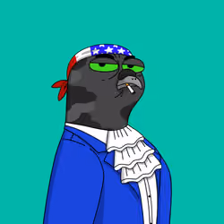 Gutter Pigeon #8650