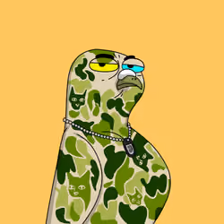 Gutter Pigeon #6397