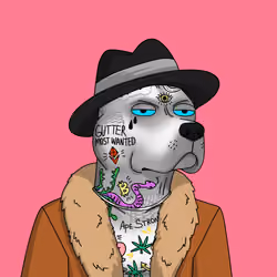 Gutter Dog #3645