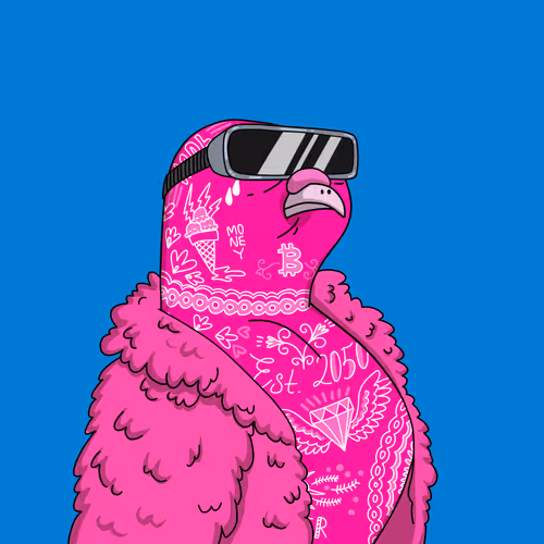 Gutter Pigeon #8660