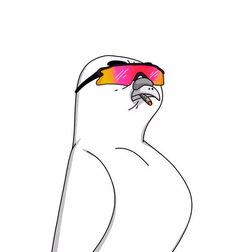 Gutter Pigeon #7448