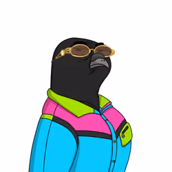 Gutter Pigeon #7515