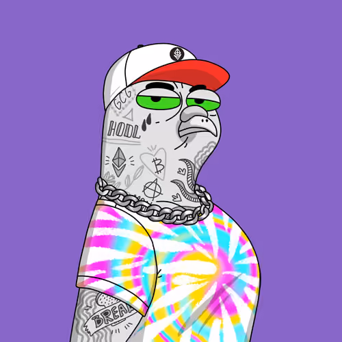 Gutter Pigeon #7354