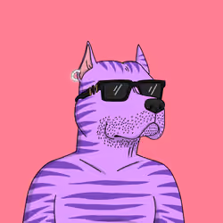 Gutter Dog #4262
