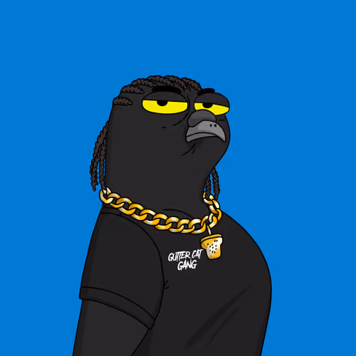 Gutter Pigeon #7557