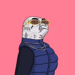 Gutter Pigeon #7834