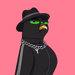 Gutter Pigeon #8517