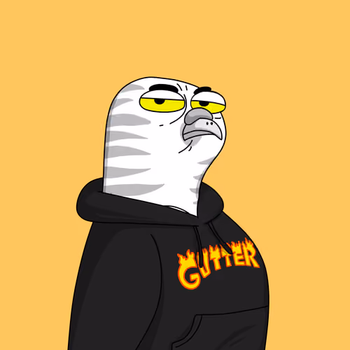 Gutter Pigeon #7884