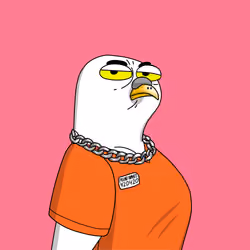 Gutter Pigeon #8235