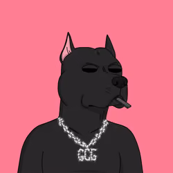Gutter Dog #4182