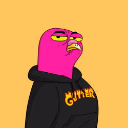 Gutter Pigeon #6823