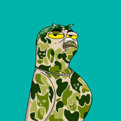 Gutter Pigeon #8774
