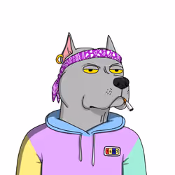 Gutter Dog #5881